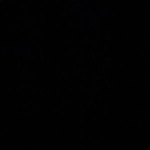 Meet your Posher, Brent